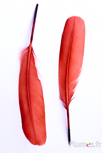 Cygne Soie - 25-30 cm - caramel